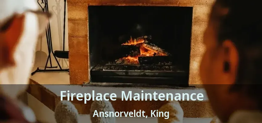 Fireplace Maintenance Ansnorveldt, King - ON