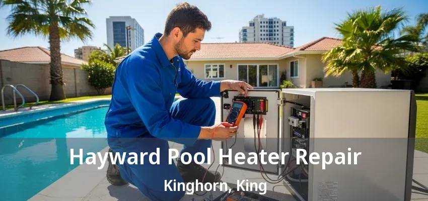 Hayward Pool Heater Repair Kinghorn, King - ON