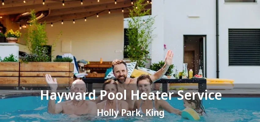 Hayward Pool Heater Service Holly Park, King - ON