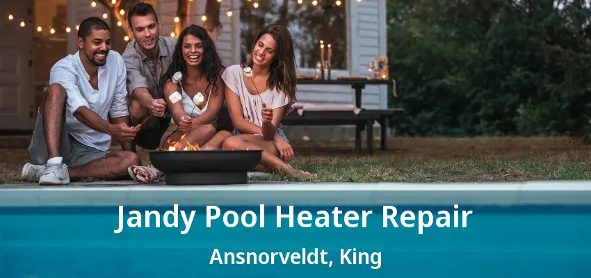 Jandy Pool Heater Repair Ansnorveldt, King - ON