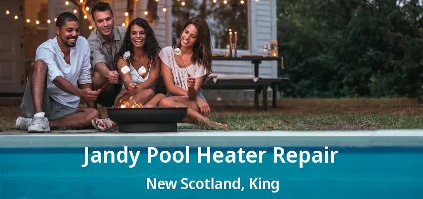 Jandy Pool Heater Repair New Scotland, King - ON Jandy Pool Heater Repair New Scotland, King - ON
