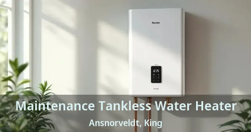 Maintenance Tankless Water Heater Ansnorveldt, King - ON