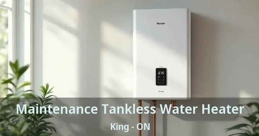 Maintenance Tankless Water Heater King - ON