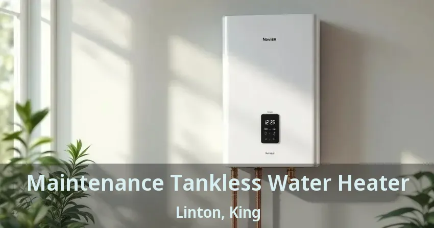 Maintenance Tankless Water Heater Linton, King - ON