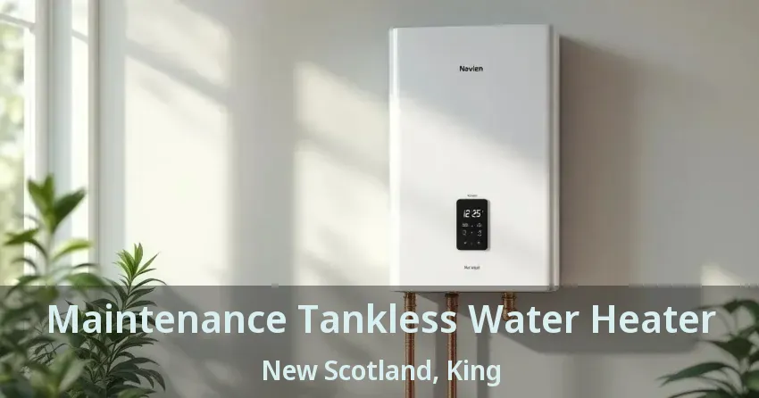 Maintenance Tankless Water Heater New Scotland, King - ON