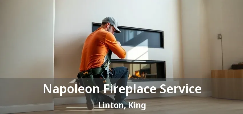 Napoleon Fireplace Service Linton, King - ON
