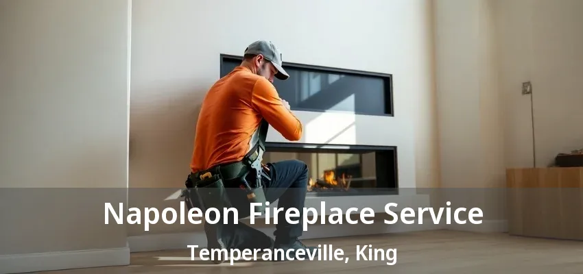 Napoleon Fireplace Service Temperanceville, King - ON Napoleon Fireplace Service Temperanceville, King - ON