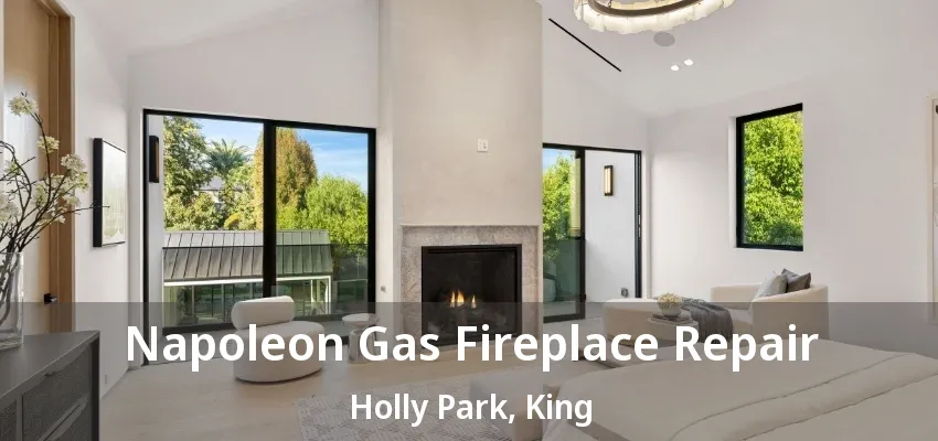 Napoleon Gas Fireplace Repair Holly Park, King - ON