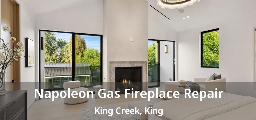 Napoleon Gas Fireplace Repair King Creek, King - ON