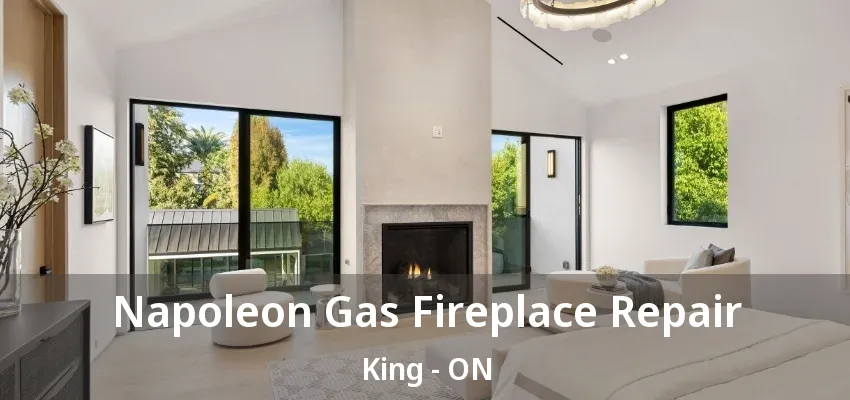 Napoleon Gas Fireplace Repair King - ON