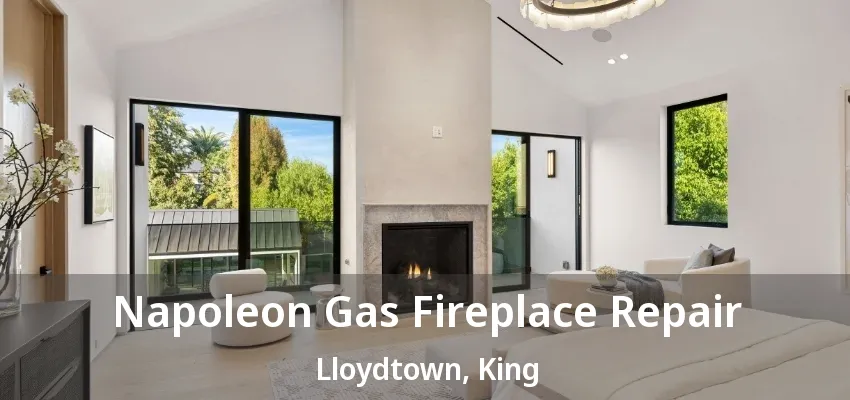 Napoleon Gas Fireplace Repair Lloydtown, King - ON