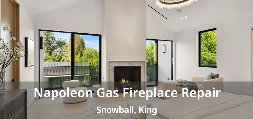 Napoleon Gas Fireplace Repair Snowball, King - ON Napoleon Gas Fireplace Repair Snowball, King - ON