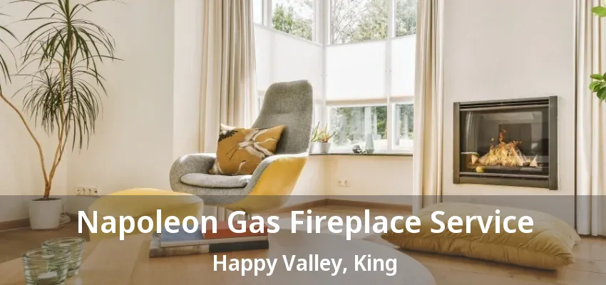 Napoleon Gas Fireplace Service Happy Valley, King - ON Napoleon Gas Fireplace Service Happy Valley, King - ON