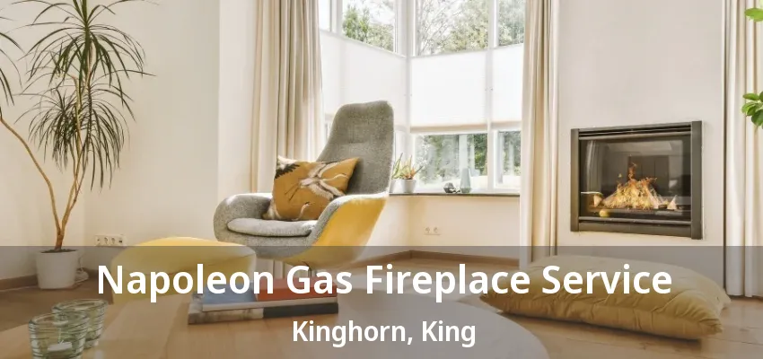 Napoleon Gas Fireplace Service Kinghorn, King - ON