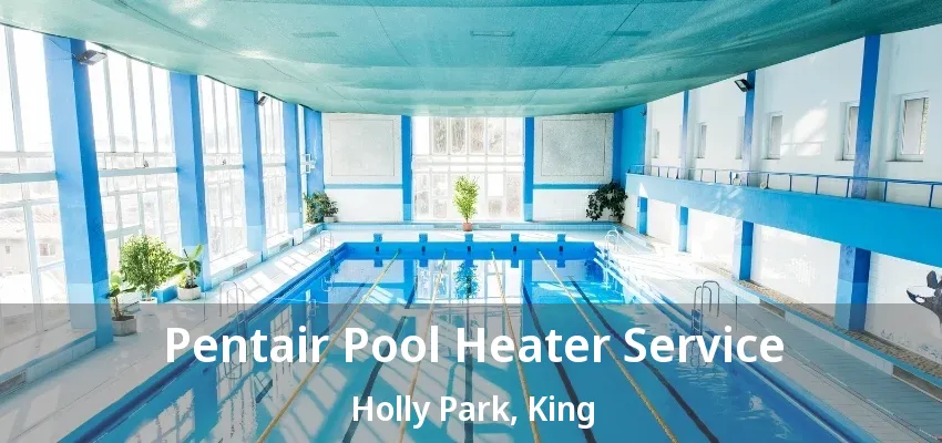 Pentair Pool Heater Service Holly Park, King - ON Pentair Pool Heater Service Holly Park, King - ON