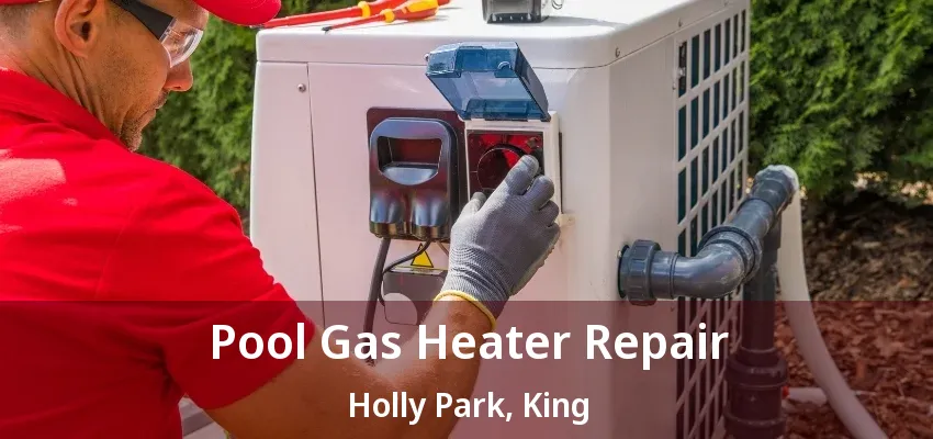 Pool Gas Heater Repair Holly Park, King - ON