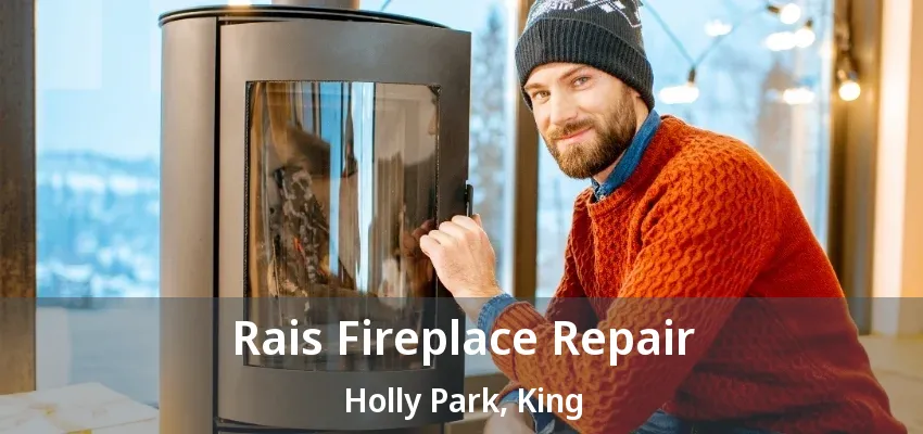 Rais Fireplace Repair Holly Park, King - ON