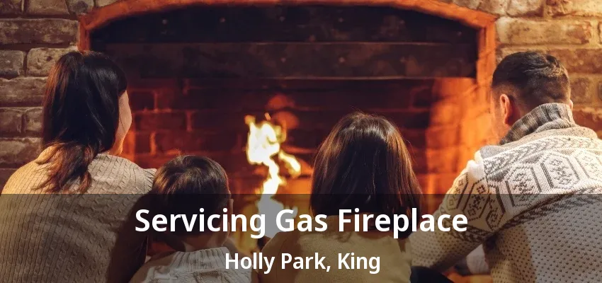 Servicing Gas Fireplace Holly Park, King - ON