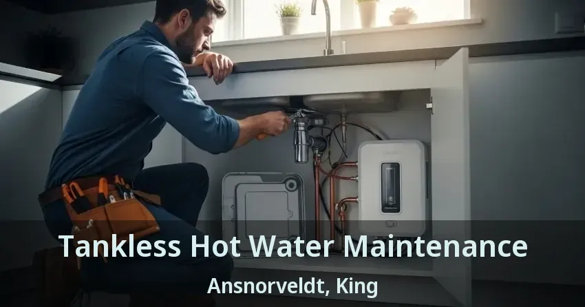 Tankless Hot Water Maintenance Ansnorveldt, King - ON