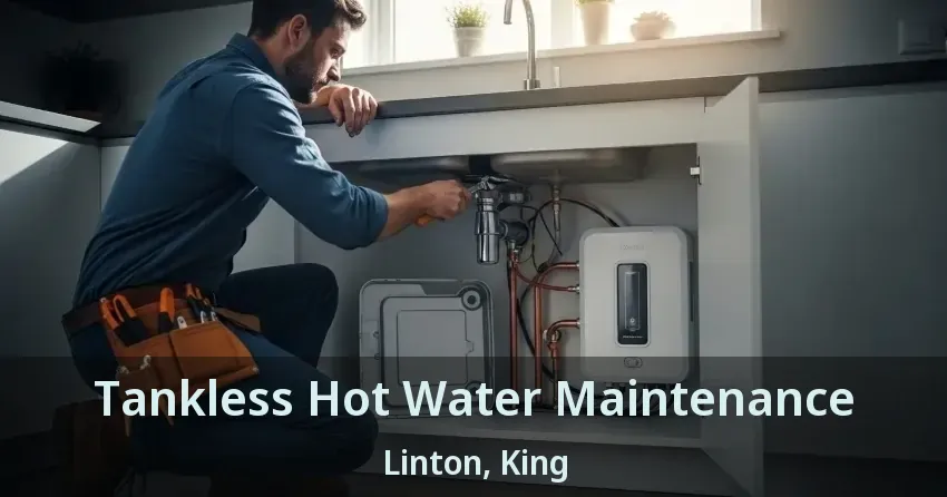 Tankless Hot Water Maintenance Linton, King - ON Tankless Hot Water Maintenance Linton, King - ON
