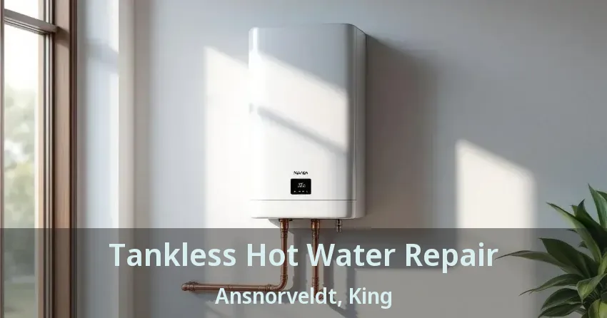 Tankless Hot Water Repair Ansnorveldt, King - ON