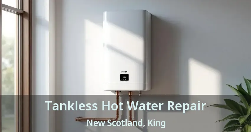 Tankless Hot Water Repair New Scotland, King - ON