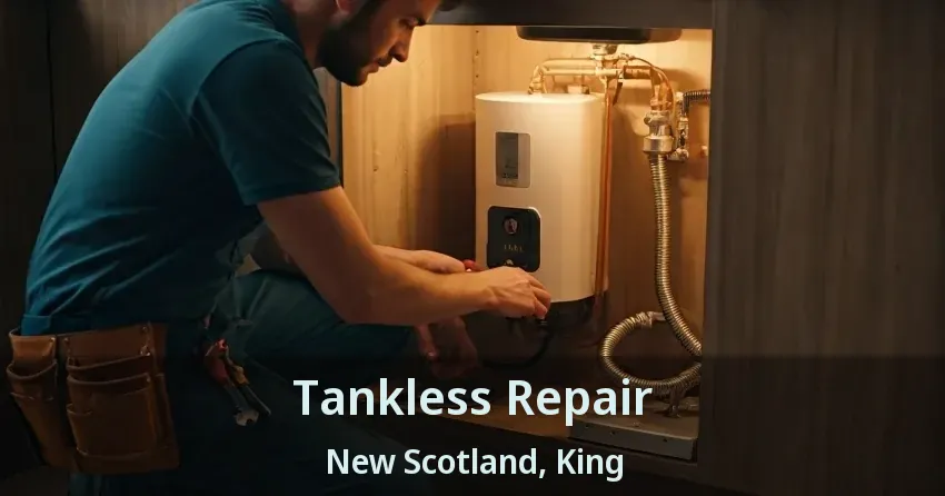 Tankless Repair New Scotland, King - ON Tankless Repair New Scotland, King - ON