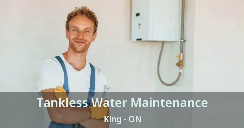 Tankless Water Maintenance King - ON
