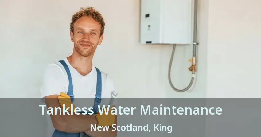 Tankless Water Maintenance New Scotland, King - ON