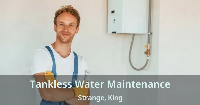 Tankless Water Maintenance Strange, King - ON