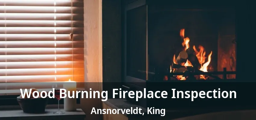 Wood Burning Fireplace Inspection Ansnorveldt, King - ON Wood Burning Fireplace Inspection Ansnorveldt, King - ON