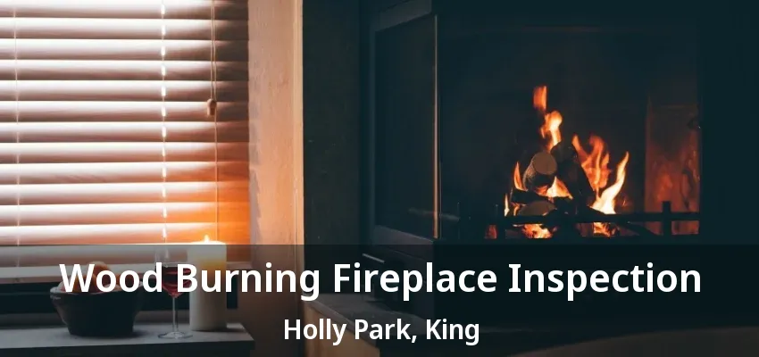 Wood Burning Fireplace Inspection Holly Park, King - ON