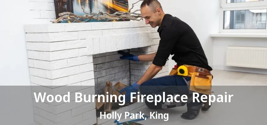 Wood Burning Fireplace Repair Holly Park, King - ON